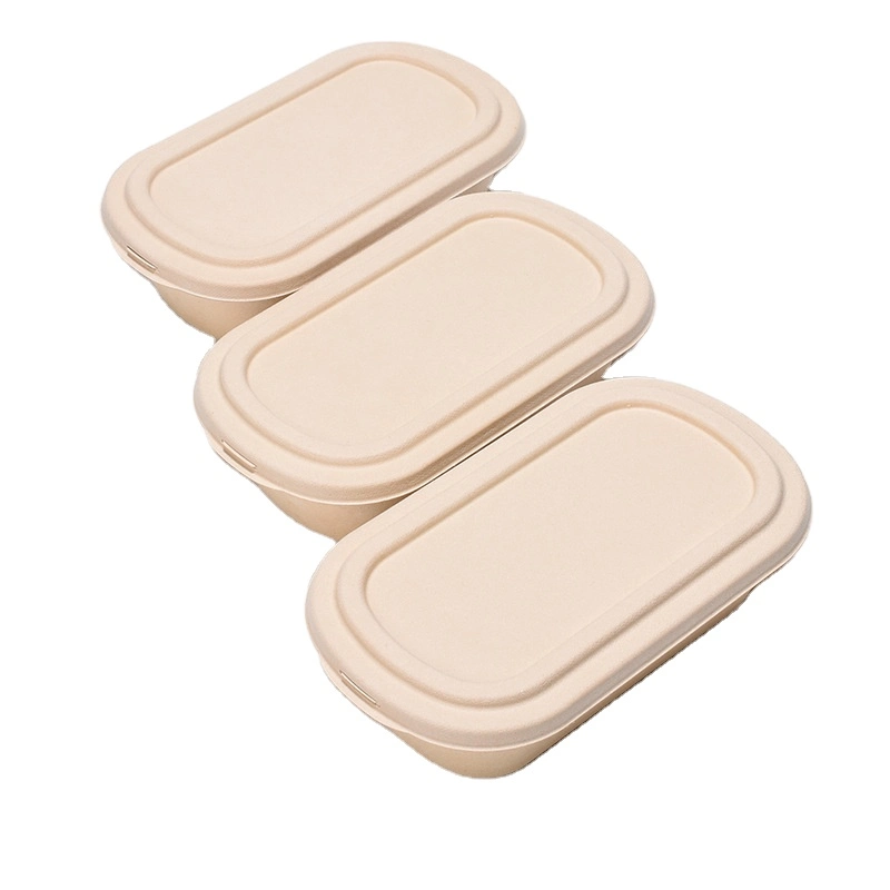 Disposable Pulp Food Containers Take Away Lunch Box Sugarcane Bagasse Biodegradable