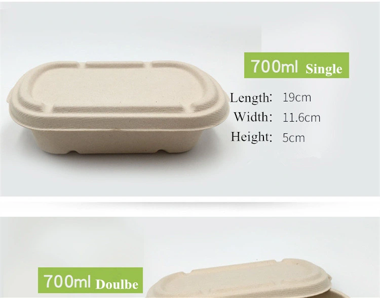 Disposable Pulp Food Containers Take Away Lunch Box Sugarcane Bagasse Biodegradable