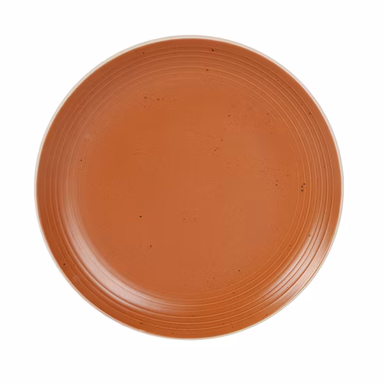 Plato llano determinado del servicio de mesa del gres del uso diario con el esmalte del color y la tampografía