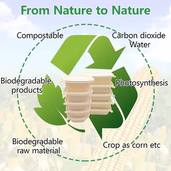 Recipiente de comida desechable Venta al por mayor Almidón de maíz Surgarcane Almacenamiento de bagazo Biodegradable Bento Take Away Fiambrera rápida con tapa